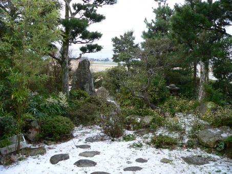 Free Stock Photo of Light snowfall in a Japanese garden