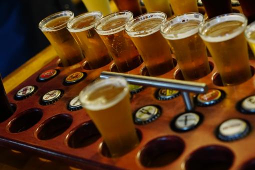 Free Stock Photo of Beer Tasting Samples