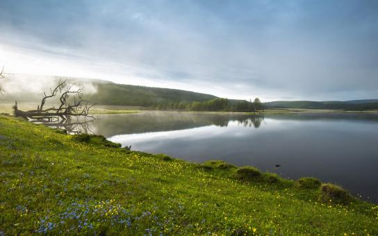 Free Stock Photo of Lake Side