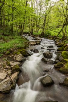 Free Stock Photo of Running Water