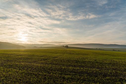 Free Stock Photo of Green Land