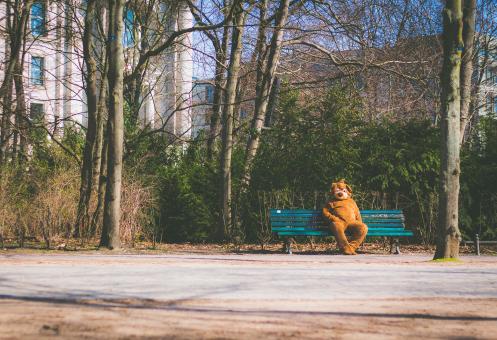Free Stock Photo of Bear on the Bench
