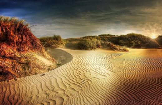 Free Stock Photo of In the Desert