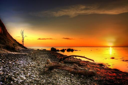 Free Stock Photo of On the Island