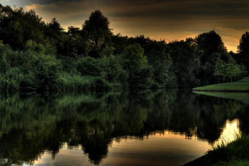 Free Stock Photo of River and Forest