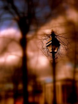 Free Stock Photo of Blur with Light Pole in Focus