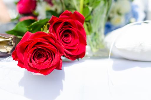 Free Stock Photo of Red Roses at Wedding Reception