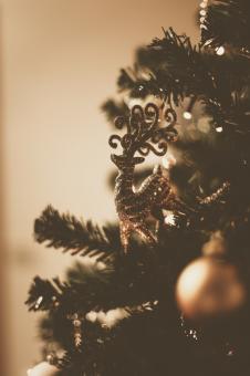 Free Stock Photo of Reindeer Christmas Tree Ornament