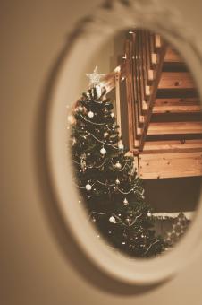 Free Stock Photo of Christmas Tree in Mirror
