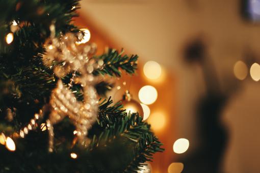 Free Stock Photo of Christmas Tree Background