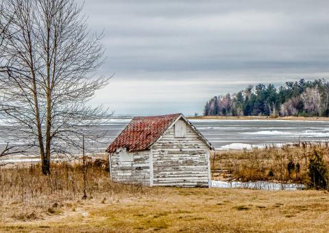 Free Stock Photo of Old White Shed