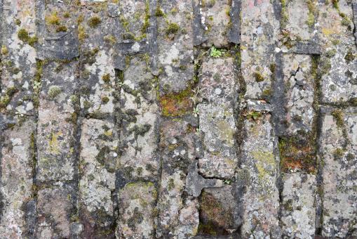 Free Stock Photo of Mossy Cobblestone Texture