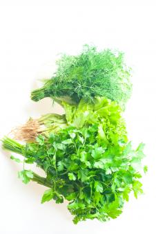 Free Stock Photo of Green Parsley