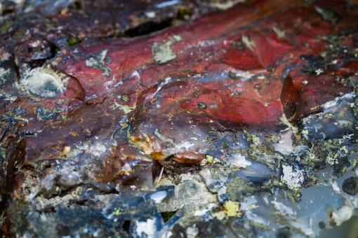Free Stock Photo of Colorful Jasper Stone background