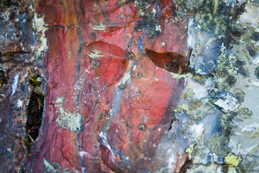 Free Stock Photo of Colorful Stone Texture
