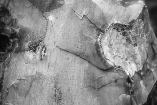Free Stock Photo of Black and White Rock Texture