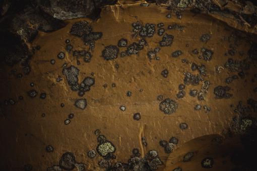 Free Stock Photo of Earthly Rock Background
