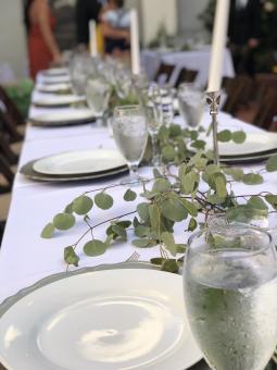 Free Stock Photo of Banquet Table