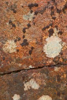 Free Stock Photo of Cracked Lichen Stone