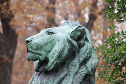Free Stock Photo of Lion bronze sculpture
