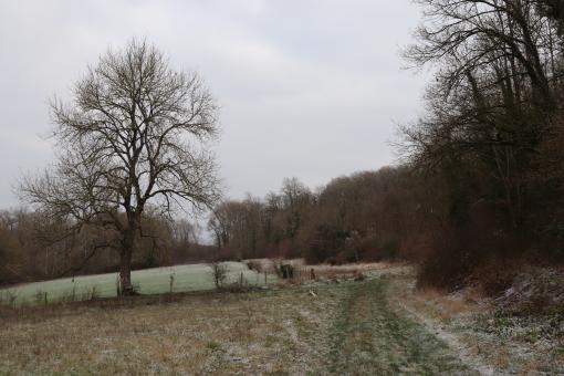 Free Stock Photo of Winter landscape in a cold morning