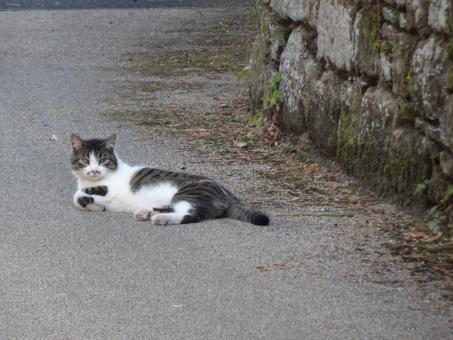 Free Stock Photo of It's a shame to see that!!  away from me paparazzo!!!