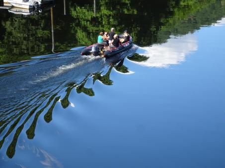 Free Stock Photo of The toughest paddler gets the best dinner (proverb)