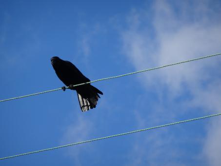 Free Stock Photo of Electricity gives me superpowers!!
