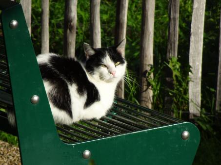 Free Stock Photo of Tom!!! Didn't you notice the 