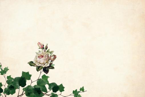 Free Stock Photo of Vintage Flower on Paper Background