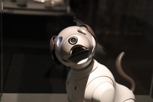 Free Stock Photo of Japanese robot of the 60's, with a camera 