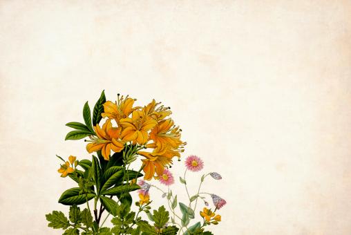 Free Stock Photo of Yellow Floral Paper Background