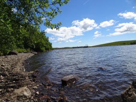Free Stock Photo of Lake with 