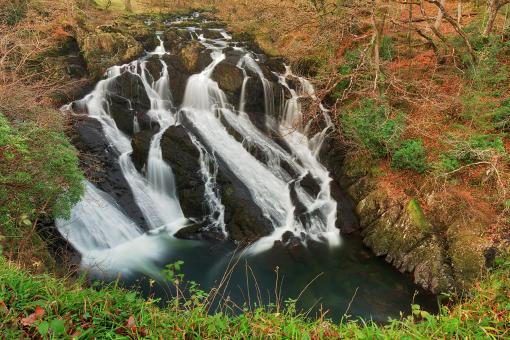 Free Stock Photo of Welsh Swallow Falls