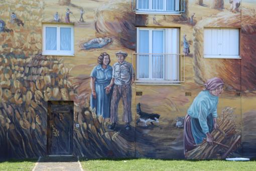 Free Stock Photo of Wall painting on residential building