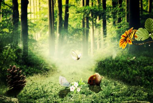 Free Stock Photo of Beauty of Green