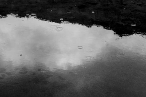 Free Stock Photo of Rain Falling on Water Surface