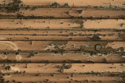 Free Stock Photo of Rusted Surface