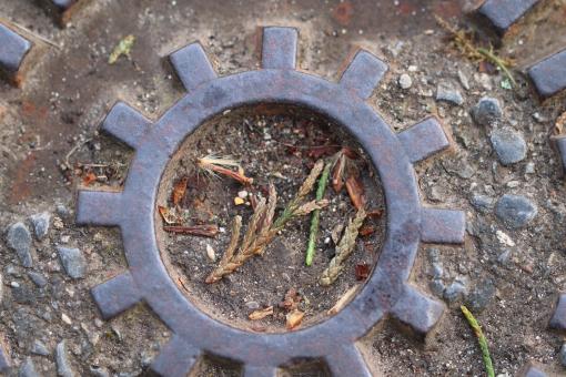 Free Stock Photo of Sewage plaque close-up