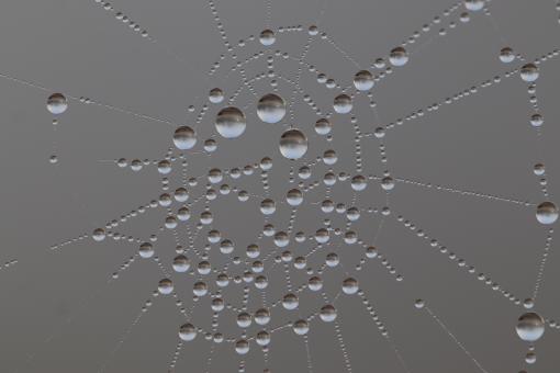 Free Stock Photo of Planets or droplets?