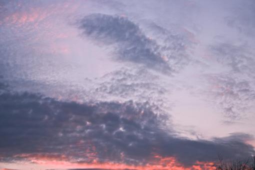 Free Stock Photo of Blue and Red Skies