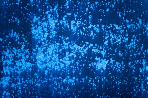 Free Stock Photo of Blue Corrosion