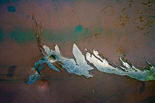 Free Stock Photo of Damaged Metal Surface