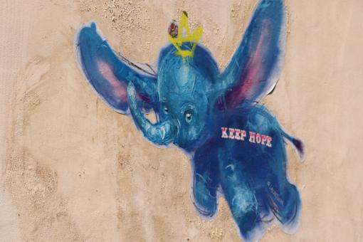 Free Stock Photo of The blue elephant!!