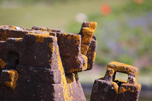 Free Stock Photo of Lichen on a rusted iron structure