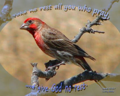 Free Stock Photo of Take No Rest-Pray