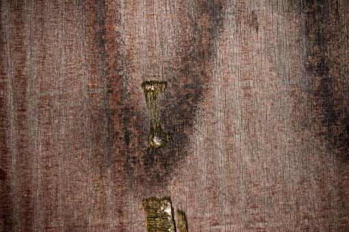 Free Stock Photo of Dirty Wooden Surface