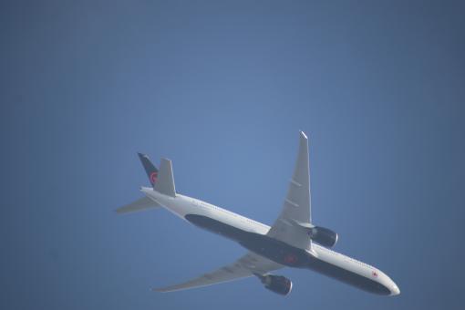 Free Stock Photo of Just... Flying by!