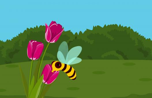 Free Stock Photo of Bee and Flower Illustration