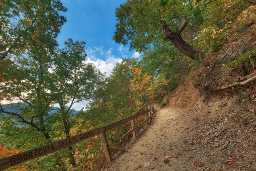 Free Stock Photo of Seneca Rocks Tilt Trail